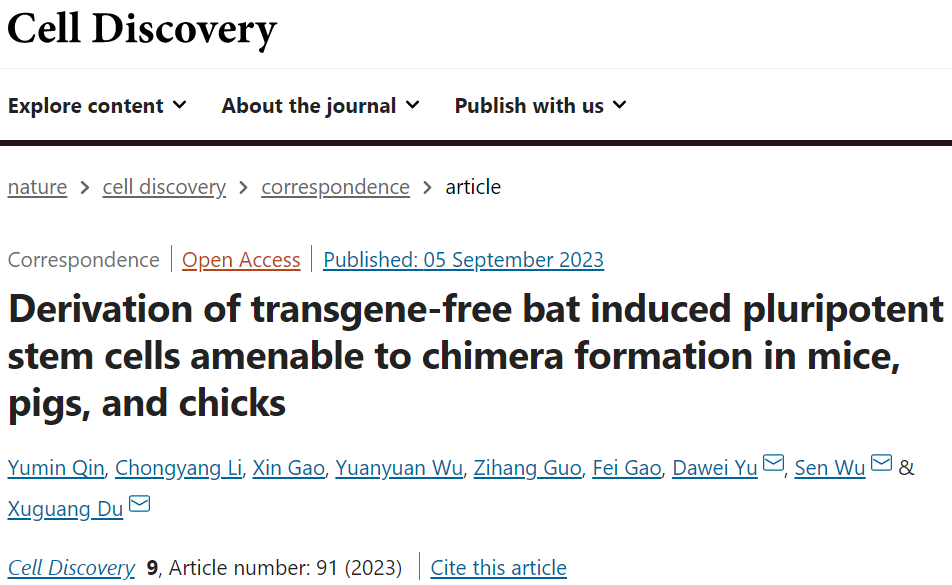 CELL DISCOV丨杜旭光/吳森等開發(fā)無轉基因蝙蝠誘導的多能干細胞，適合小鼠、豬和小雞形成嵌合體(圖1)